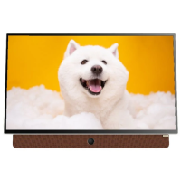 Skyworth 24吋 移動式 Google 顯示屏 24LP6000G