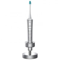 Panasonic 樂聲 雙重聲波震動牙刷 EW-DP52