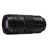 Panasonic 樂聲 Lumix S 100-500mm f/5-7.1 O.I.S. for L-Mount