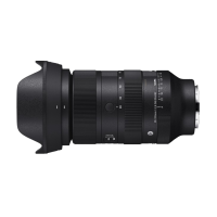 Sigma 28-105mm F2.8 DG DN | Art for Sony E-Mount