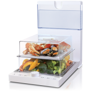 German Pool 德國寶 可摺疊式高速電蒸鍋 (10.5公升) JET-915