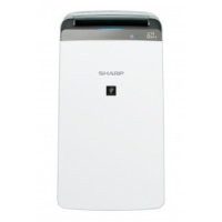 Sharp 聲寶 22公升 Plasmacluster 抗菌抽濕機 DW-P22A-W