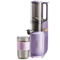 Daewoo 大宇 原汁機 (慢磨機) DY-BM03