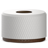 Bodyflex 陶瓷藍牙揚聲器放濕機 PR-300