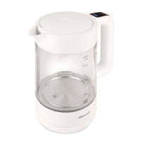 Rasonic 樂信 溫控電熱水壺 (1.7公升) RK-X173G