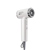 ARGO Global Mini Dryer 全球通用風筒 BW-1203G