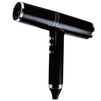 Lil Tresses Lightweight Fast-drying Hair Dryer 風筒