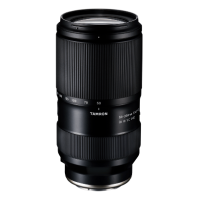 Tamron 50-300mm F/4.5-6.3 Di III VC VXD for Sony-E Mount (A069)