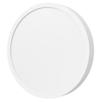 Xiaomi 小米 吸頂燈 D20 9290041707