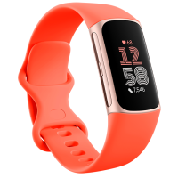 Fitbit Charge 6 健康智能手環